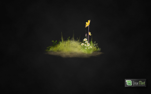 1172571 (a): :1920x1200